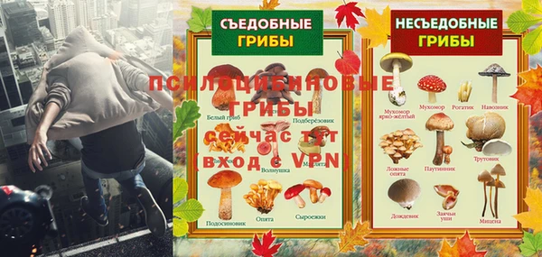 дживик Нязепетровск