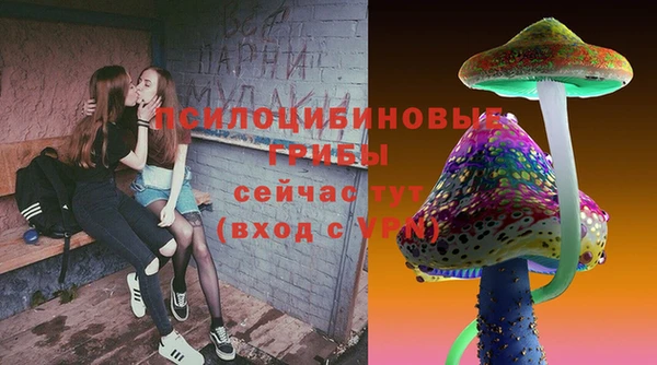 дмт Кукмор