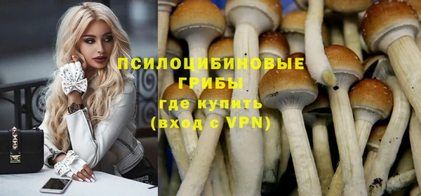 дмт Кукмор