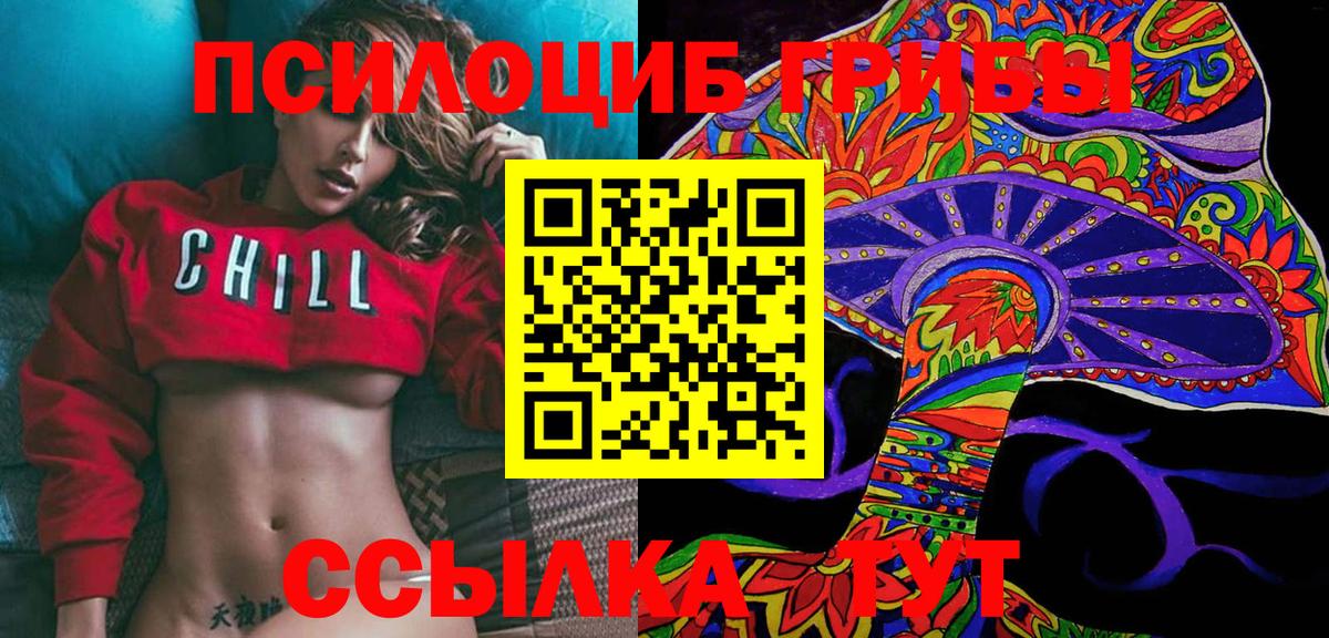 Псилоцибиновые грибы прущие грибы  цена наркотик  Галлюциногенные грибы Psilocybine cubensis  Елец 