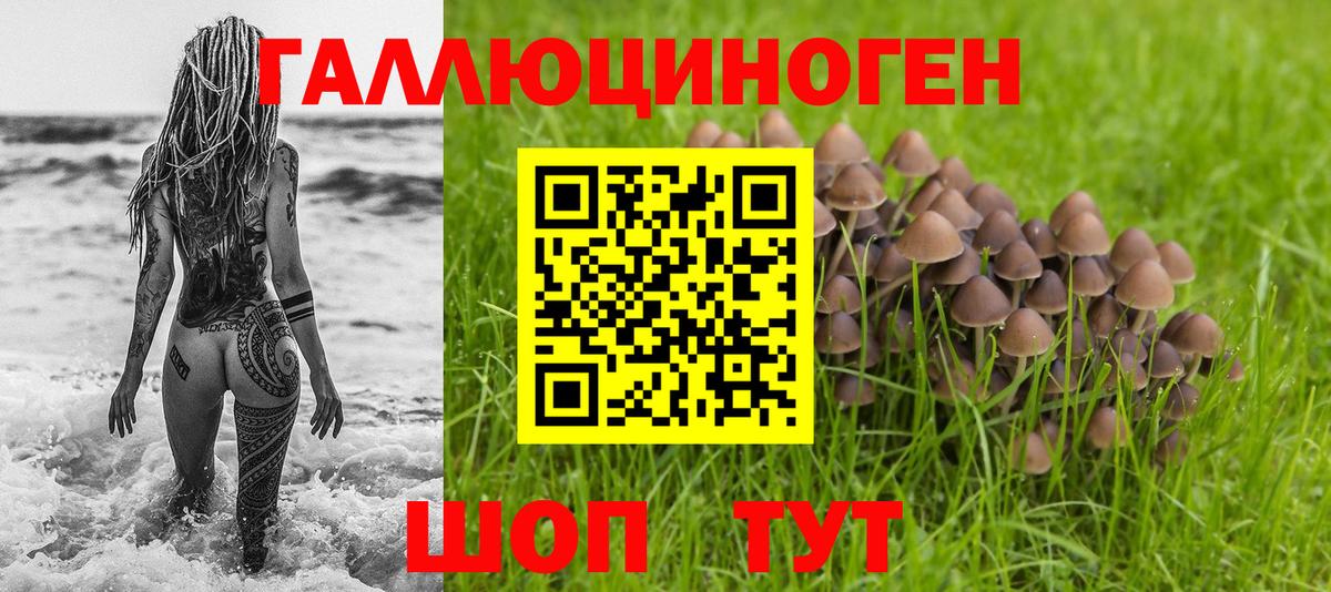 Галлюциногенные грибы Psilocybine cubensis Елец