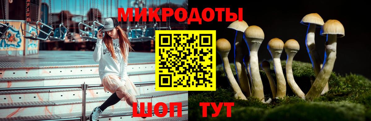 Елец  Галлюциногенные грибы Psilocybe  Вход с VPN 