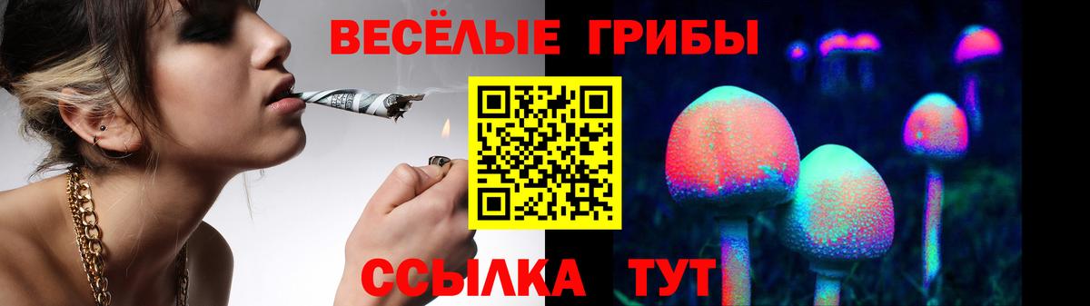 Псилоцибиновые грибы GOLDEN TEACHER Елец
